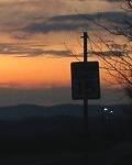 Bald Eagle sunset